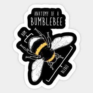 Bumblebee Anatomy Sticker